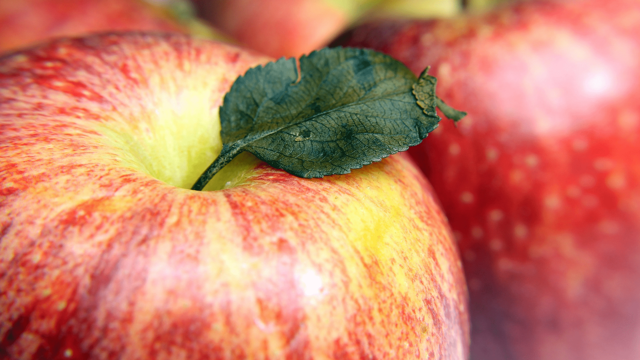 Introducing Change without tipping over the apple cart